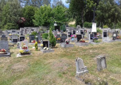 Kmínek Michal, 2019