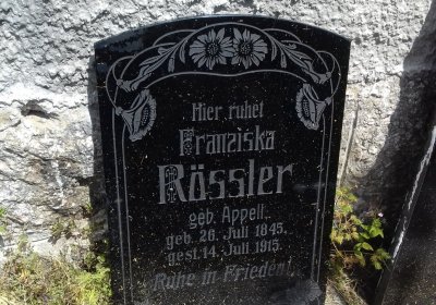 Kmínek Michal, 2019