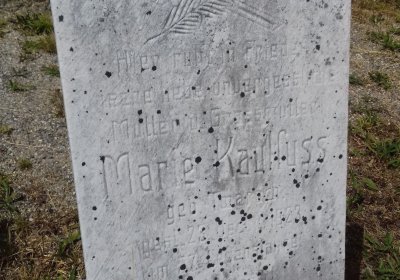 Kmínek Michal, 2019