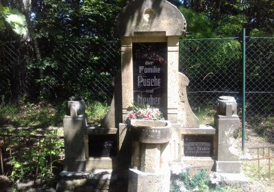 Kmínek Michal, 2019