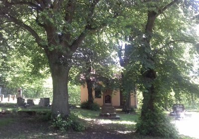 Kmínek Michal, 2019