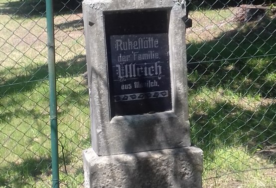 Kmínek Michal, 2019