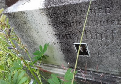 Kmínek Michal, 2019