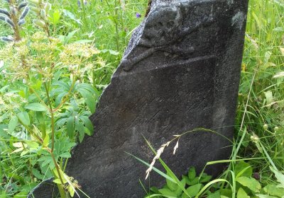 Kmínek Michal, 2019