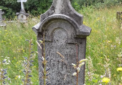 Kmínek Michal, 2019