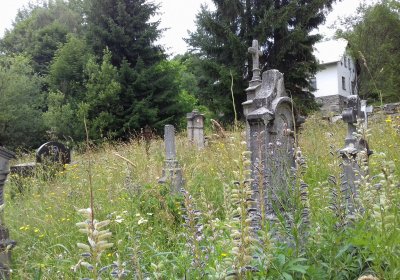 Kmínek Michal, 2019