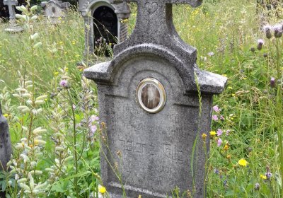 Kmínek Michal, 2019