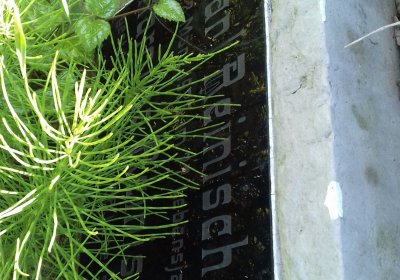 Kmínek Michal, 2019