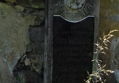 Kmínek Michal, 2019