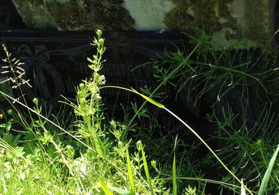 Kmínek Michal, 2019