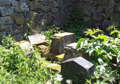 Kmínek Michal, 2019