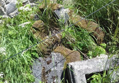 Kmínek Michal, 2019