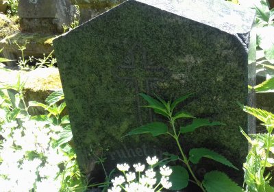 Kmínek Michal, 2019