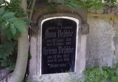 Kmínek Michal, 2019