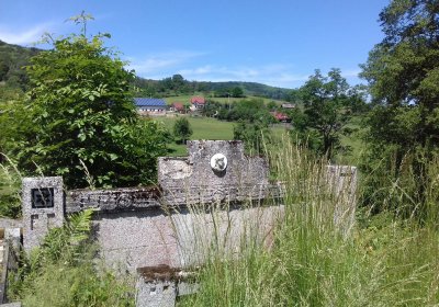 Kmínek Michal, 2019