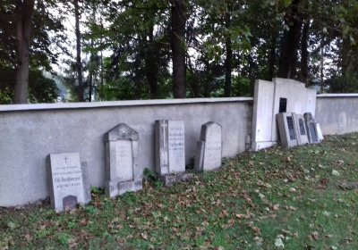 Kmínek Michal, 2019