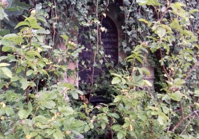 Kmínek Michal, 2019