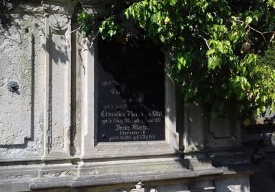 Kmínek Michal, 2019