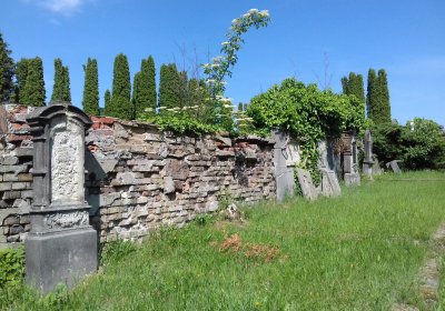 Kmínek Michal, 2019