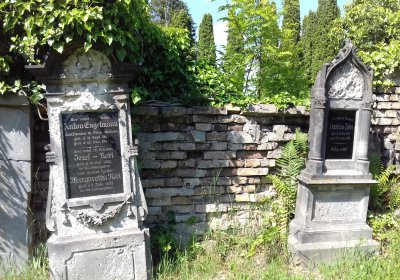 Kmínek Michal, 2019