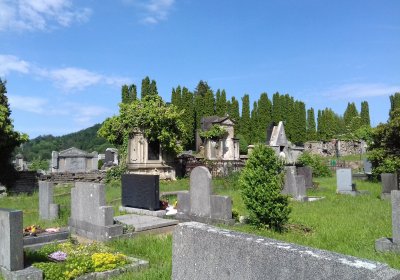 Kmínek Michal, 2019