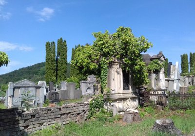 Kmínek Michal, 2019