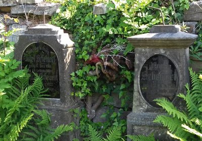 Kmínek Michal, 2019