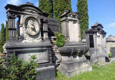 Kmínek Michal, 2019