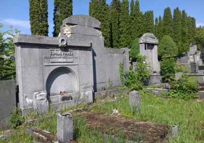 Kmínek Michal, 2019