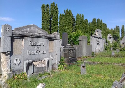 Kmínek Michal, 2019