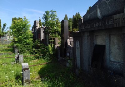 Kmínek Michal, 2019