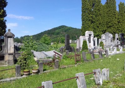 Kmínek Michal, 2019