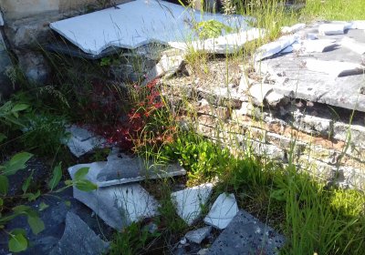 Kmínek Michal, 2019