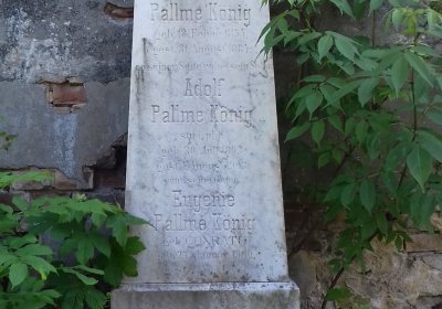 Kmínek Michal, 2019