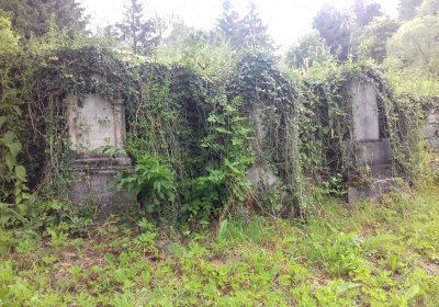 Kmínek Michal, 2019