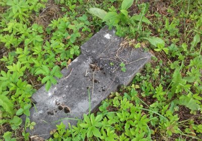 Kmínek Michal, 2019