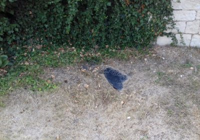 Kmínek Michal, 2018