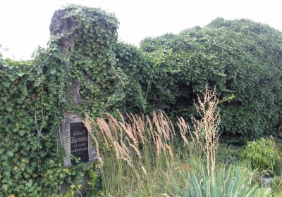 Kmínek Michal, 2018