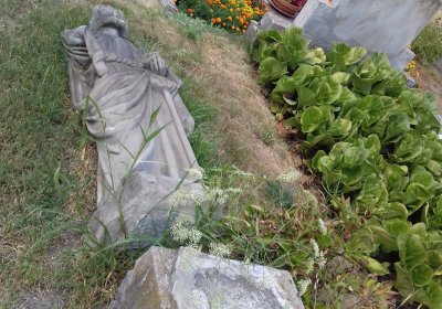 Kmínek Michal, 2018