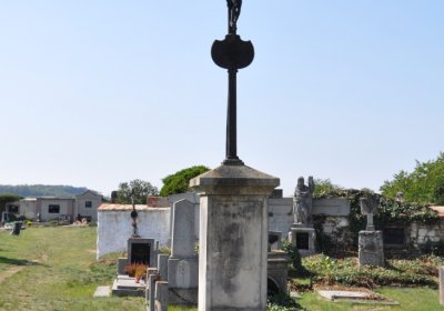 Skupice, Omnium, 2020