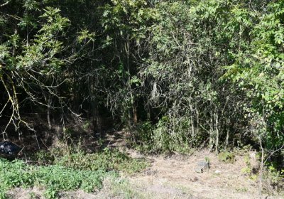 Skupice, Omnium, 2020