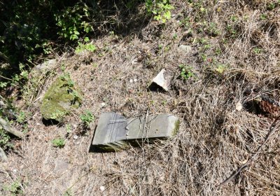 Skupice, Omnium, 2020