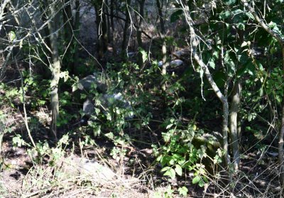 Skupice, Omnium, 2020