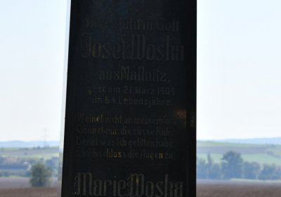 Skupice, Omnium, 2020