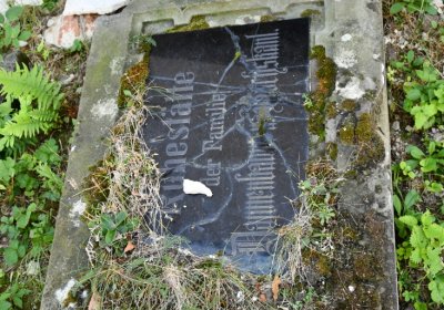 Skupice, Omnium, 2020