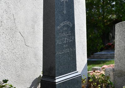 Skupice, Omnium, 2020