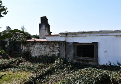 Skupice, Omnium, 2020