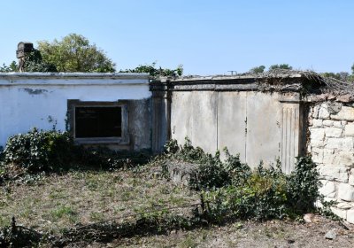 Skupice, Omnium, 2020