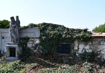 Skupice, Omnium, 2020