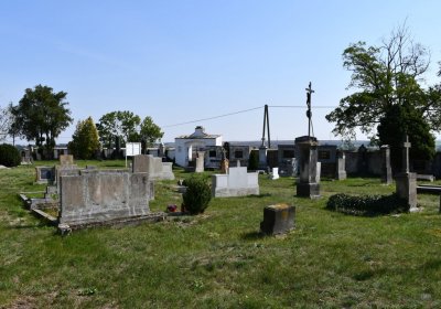 Skupice, Omnium, 2020